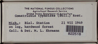 Image Associated With the Occurence